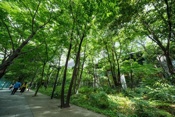 大手町タワー（大手町の森）